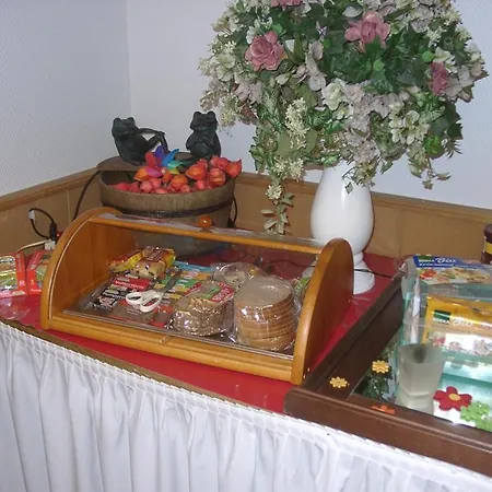 Gæstehus Engelke Am Schloss Bad Pyrmont